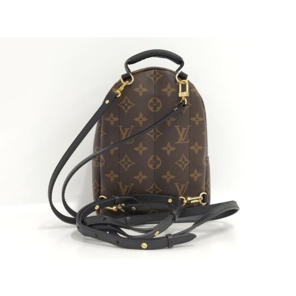 Louis Vuitton Rucksack Palm Springs Backpack Mini Monogram - Picture 2 of 10